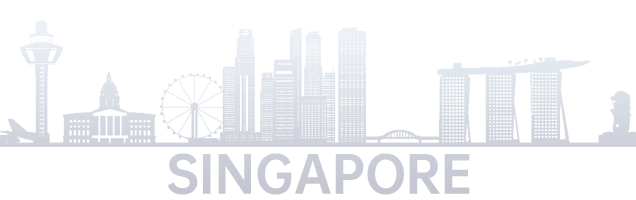 Chinese in Singapore 海外加速 羽飞畅连Yufei.Cloud - 海外华人回国加速器 新加坡华人回国加速